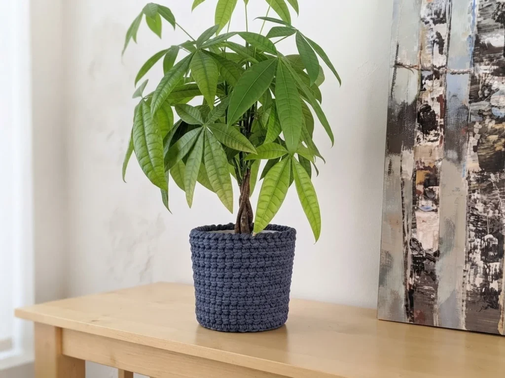 Dark blue crochet plant pot cover holding a green leafy plant on a wooden table beside birch tree artwork